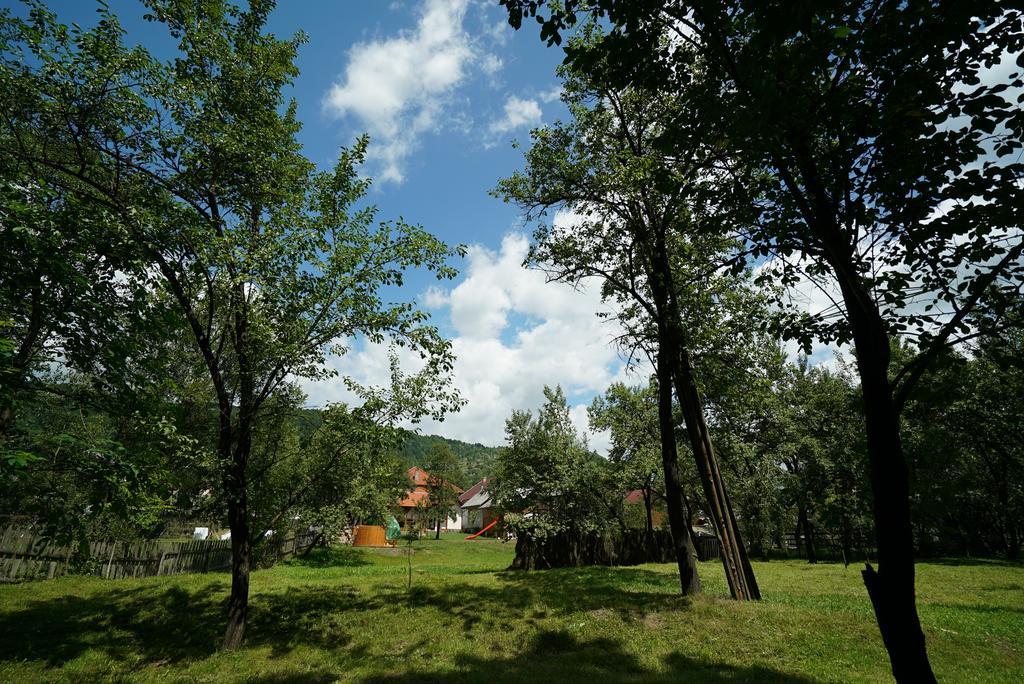 Отель Casa Bunicii Мойсей Экстерьер фото